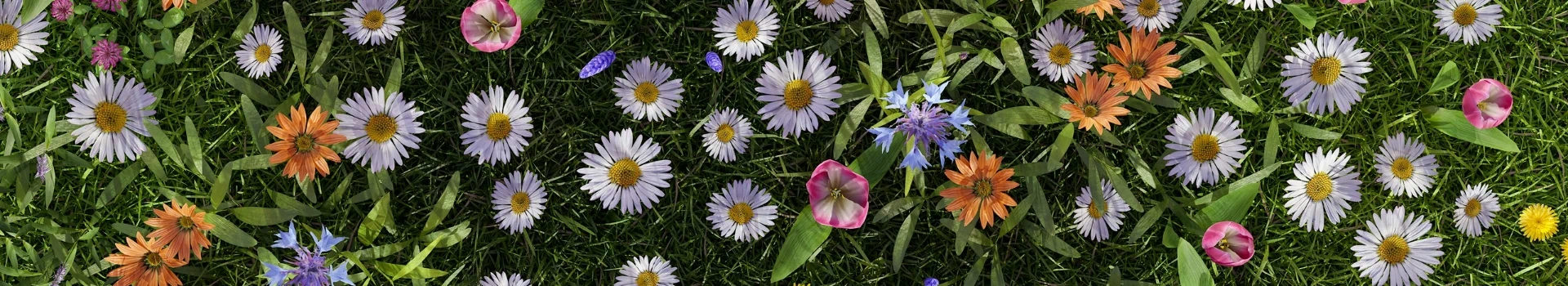 Opakowania na kwiaty cięte