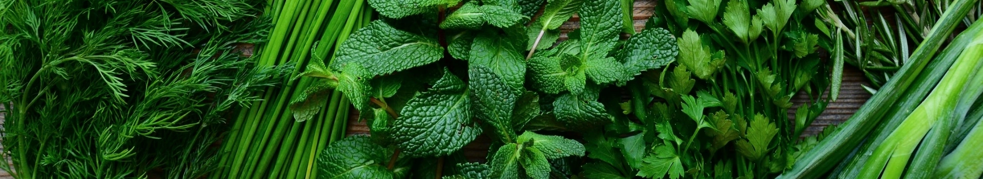 Opakowania papierowe na zioła i sałaty w doniczkach