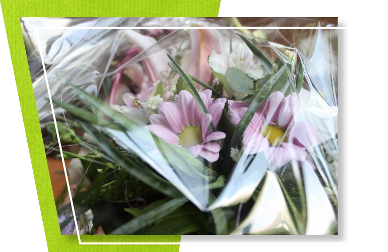 folia kwiaty