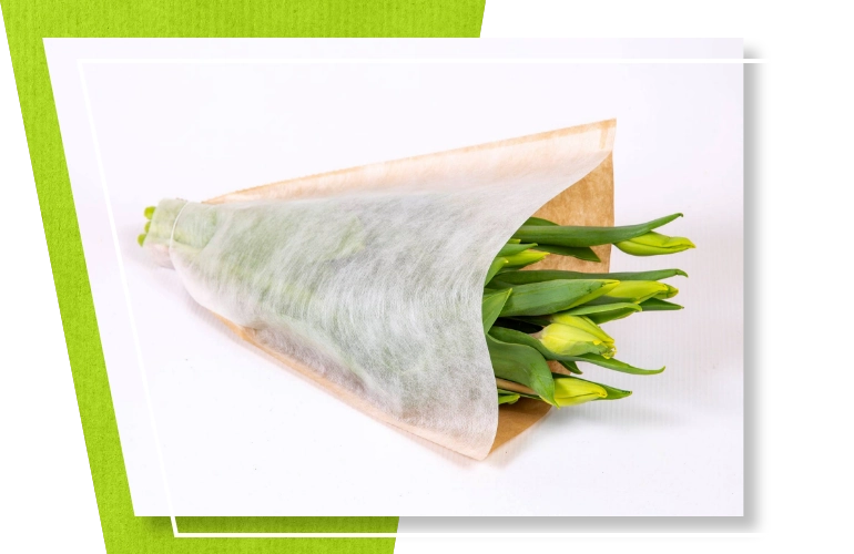 content rozki papierowe