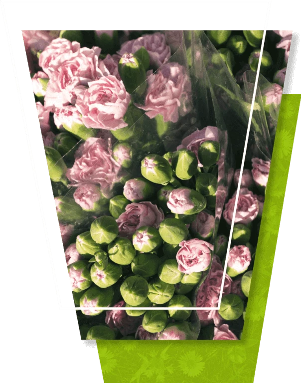 Opakowania na kwiaty cięte