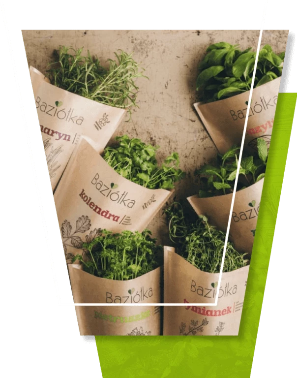 Opakowania na zioła doniczkowe
