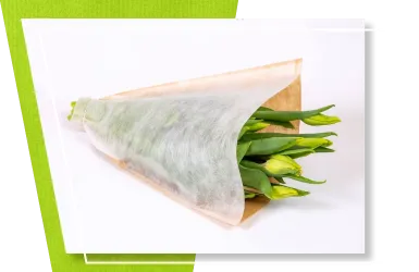 content-rozki-papierowe